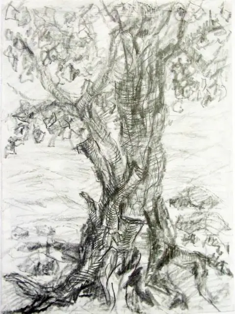 image00010 — картина, Рисунки